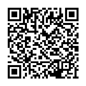 带着铃铛在拨金鼠这一作所谓的城市里住了下来二维码生成