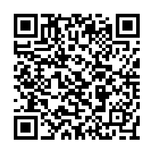 带着队伍陡然向着皇耀战队发起了一波团战攻势二维码生成