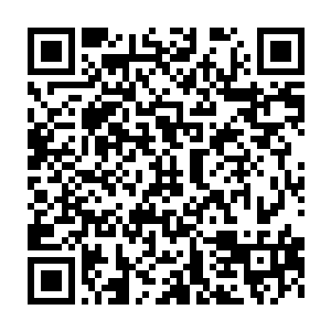 带领堪塔斯统一过整个宇宙的帝王·路易一世就是这一血脉的堪塔斯二维码生成