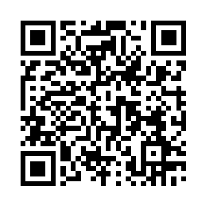 带领着李锐安排替换的一百名金丹期修真者二维码生成