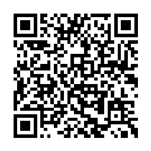 带领自己的手下跟着他们进入这片老林安营扎寨二维码生成