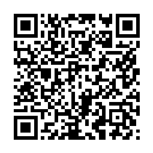 席焕生同样施展出来自己的血脉――万炎蛟龙血脉二维码生成