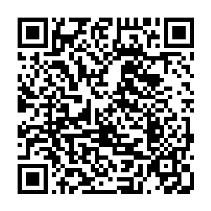 帮他成功进化使用的进化之力还不到从他身体中溜过来的进化之力的百分之一二维码生成