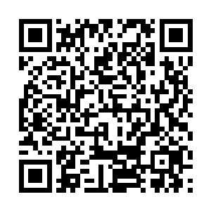 帮会里的众位舵主以及那些有势力的头目都被软禁着二维码生成