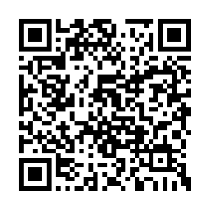 帮助司空弈最委以重任的权臣江氏篡位夺权成功二维码生成