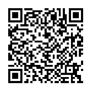 帮我查一下今天我的女朋友唐翩跹都见过什么人二维码生成