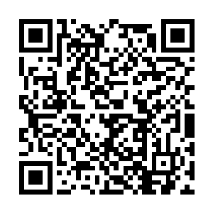 帮手耆老也陷入沉思中我的姥爷是盗墓贼最新章节二维码生成