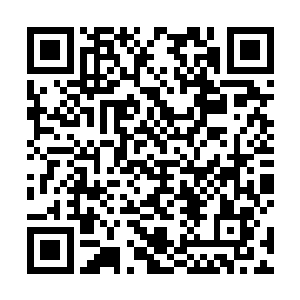 帮的到的也只有让柳大夫压低价格卖药丸给济民堂而已二维码生成