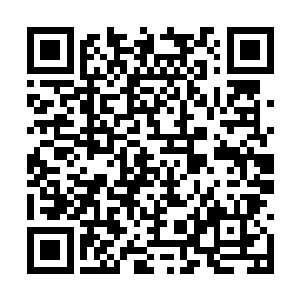 帮着泰勒把十三号弄上了车并坐在了十三号旁边后二维码生成