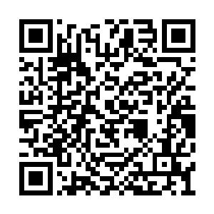 帮邵玄运猎物下山这活是他们后来主动跟巫要的二维码生成