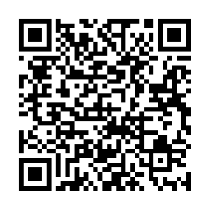 帮阿夏公主抵挡住了剑戟魔猪身上丫丫叉叉的骨刺刮擦二维码生成