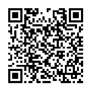 常年有我天狼谷唯一的一位圣域大圆满老祖宗坐镇二维码生成