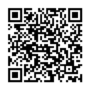常文华体内内劲毕竟有一半以上凝聚成了属性真气二维码生成