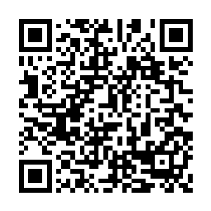 常文华被韩风以及韩柔两人的合力击的连连后退二维码生成