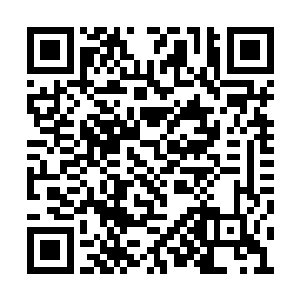 常晴也留下了她身边的一个小丫头杏儿照顾念深二维码生成