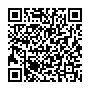 干净利落的把毒魔蝎那巨大的尸体收入空间戒指内二维码生成