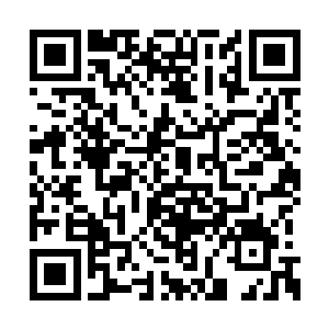 干柴和其他用品你们自己和部落里的人交换就好二维码生成