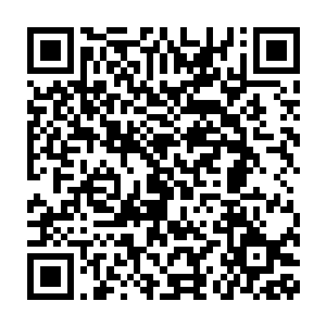 干着不知道是在管理企业环境行为还是帮绿叶公司介绍业务的工作二维码生成