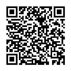 干脆就将所有取自地下山洞的灵泉水都倒腾到花瓶里二维码生成