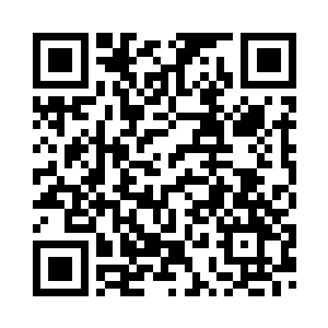 干脆用佛跳墙和开水崧叶去参赛呗二维码生成