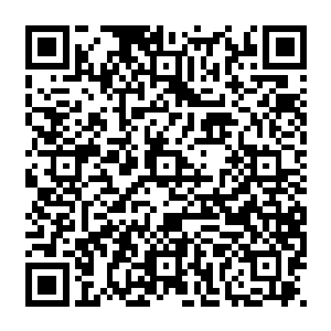 平了白兰之前买的一盘子游戏币还有不少富余――换成钱至少能补了今天的电影票和零食钱二维码生成