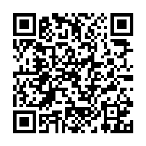 平原君去世了……怪不得如意会被当成公主送来秦国二维码生成