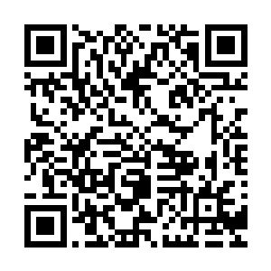 平台当家解说娃娃准时带着其他两名解说出现在了直播画面上二维码生成