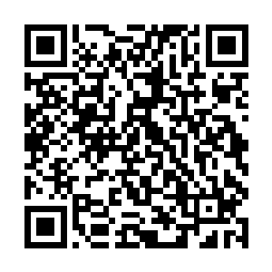 平天神国内几乎所有汇集在拍卖会场中的主神级家族二维码生成