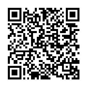 平头短发更是回国前娜塔莎在海边用剪刀收拾的结果二维码生成