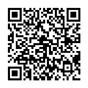 平山秋之和那几个修真高手以及武学宗师级别的皇室武士二维码生成