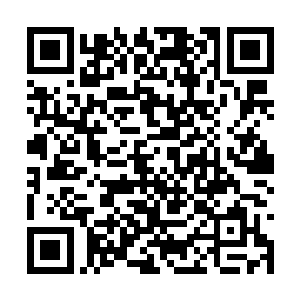 平常也不知道有多少人或明或暗的对她表示爱慕呢二维码生成