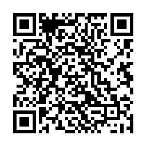 平常也没见你认怂啊……他么的平常你不也挺硬气的啊二维码生成