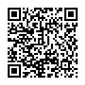 平日的话这些少年和姑娘打理一下宫殿树里的事情二维码生成