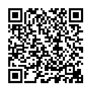 平日看似柔弱的苏嫣在此时却是扯出了一抹坚定的笑意二维码生成