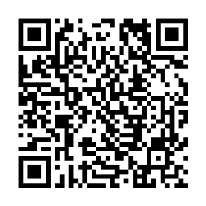 平日那些天骄斗得个你死我活才能在祖圣地得到一株幽梦草二维码生成
