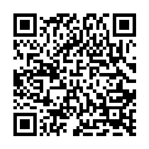 平日里慈祥无害的凌钰是如何的疼爱她的那些个小宝贝的二维码生成