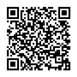 平日里故作风雅的名家题字折扇已经被扔到了一边的尘土里二维码生成