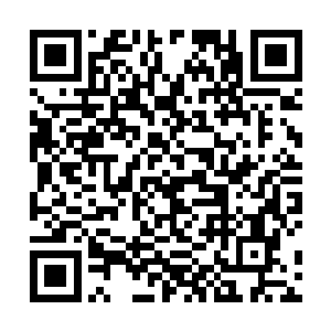 平日里还有好多人家就指望这些竹子制作一些竹器过活二维码生成