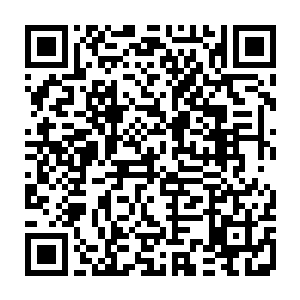 平时一贯被大家认为是活力十足的梅勒琳看着眼前这像跳跳虎一般的米璐安二维码生成