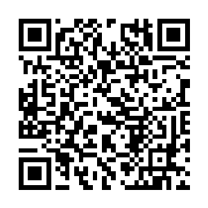 平时临淮侯府有什么疑难杂症都会去请这位张太医二维码生成