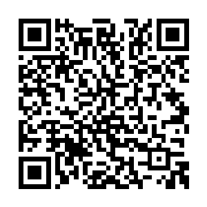 平时因为有凌菲坐镇他给人看病底气还算是很足二维码生成