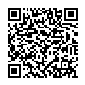 平时对钱格外的敏感的牛用现在也顾不上找钱了二维码生成