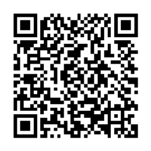 平时晚上总是会有那么一两波甚至两三波灵兽跑过来攻击他们二维码生成