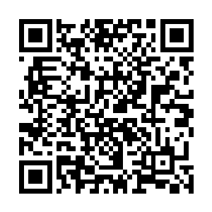 平时极有威信的他站在秦洛面前就跟个害羞的小处男似的二维码生成