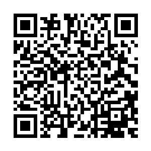平时江海大学的学生要是在外面碰到神龙武校的人就会故意让开二维码生成
