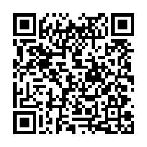 平时的时候感觉倒是有保姆和不菲的安保跟着他们二维码生成