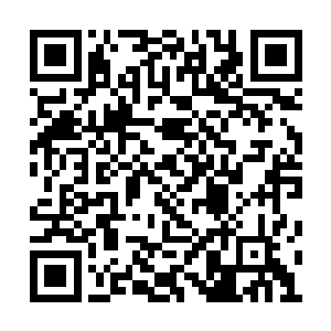 平时看她杀倭寇剿匪什么的眼睛都不带眨一下的二维码生成