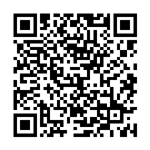 平时连她手上被针戳了一下都会责骂宫人照顾不好二维码生成