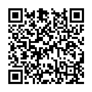 平时那些公子们在两人面前都生怕衣裳有半点不整二维码生成