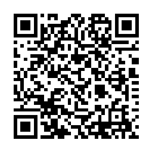 平时都是在各自的家庭各自的圈子里过着各自的日子二维码生成